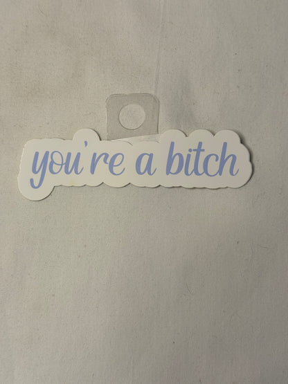 You're a B*tch Sticker