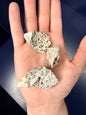 Dalmatian Jasper Raw