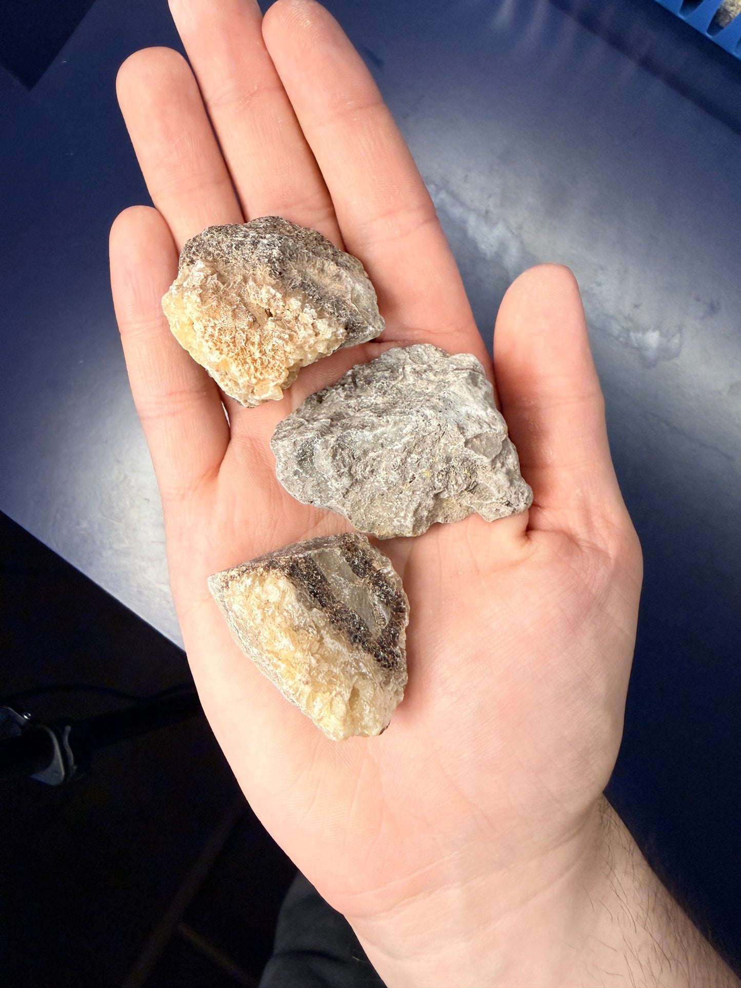 Raw Septarian