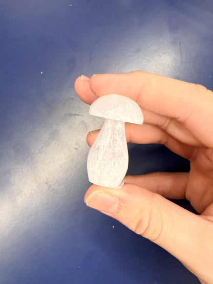 Selenite Mushroom