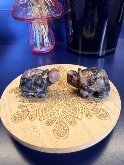 Que Sera Turtles