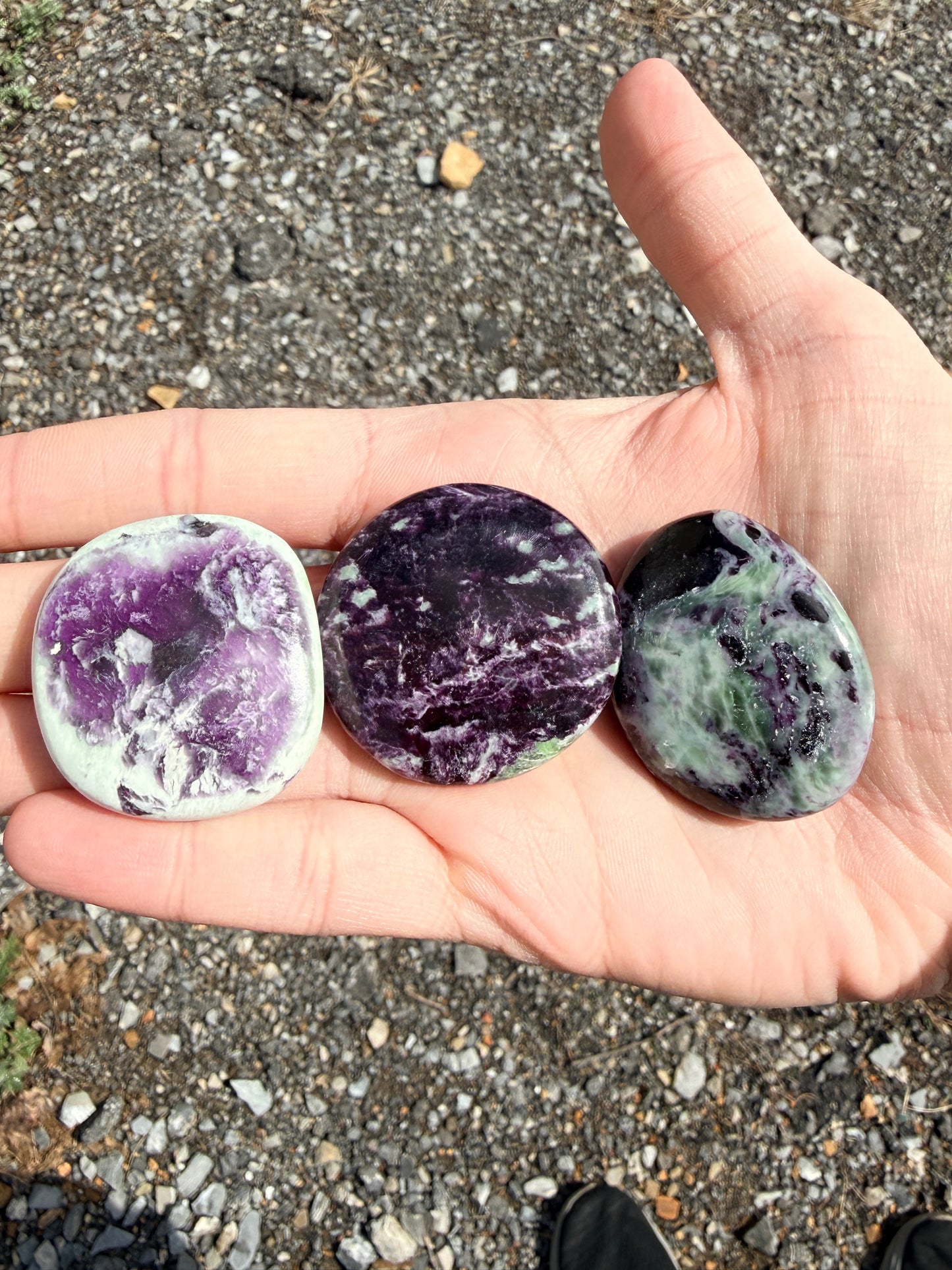 Hand holding three dark purple and light green kammererite palmstones with labels in front of gravel