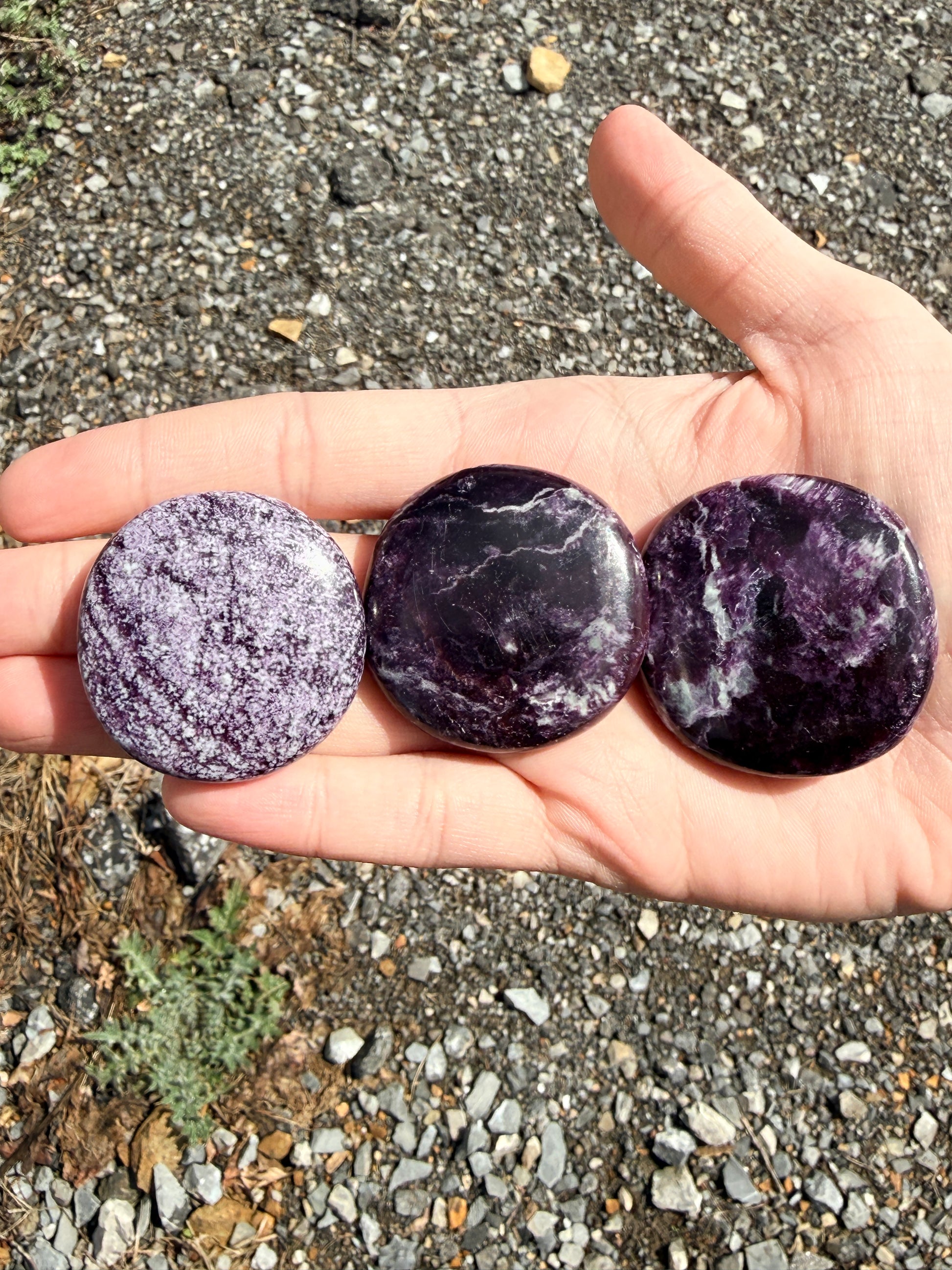 Hand holding three dark purple and light green kammererite palmstones in front of gravel