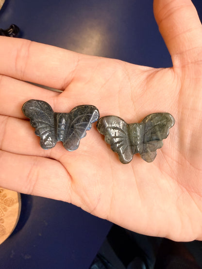 Two labradorite butterflies sitting on an open palm against a blue background