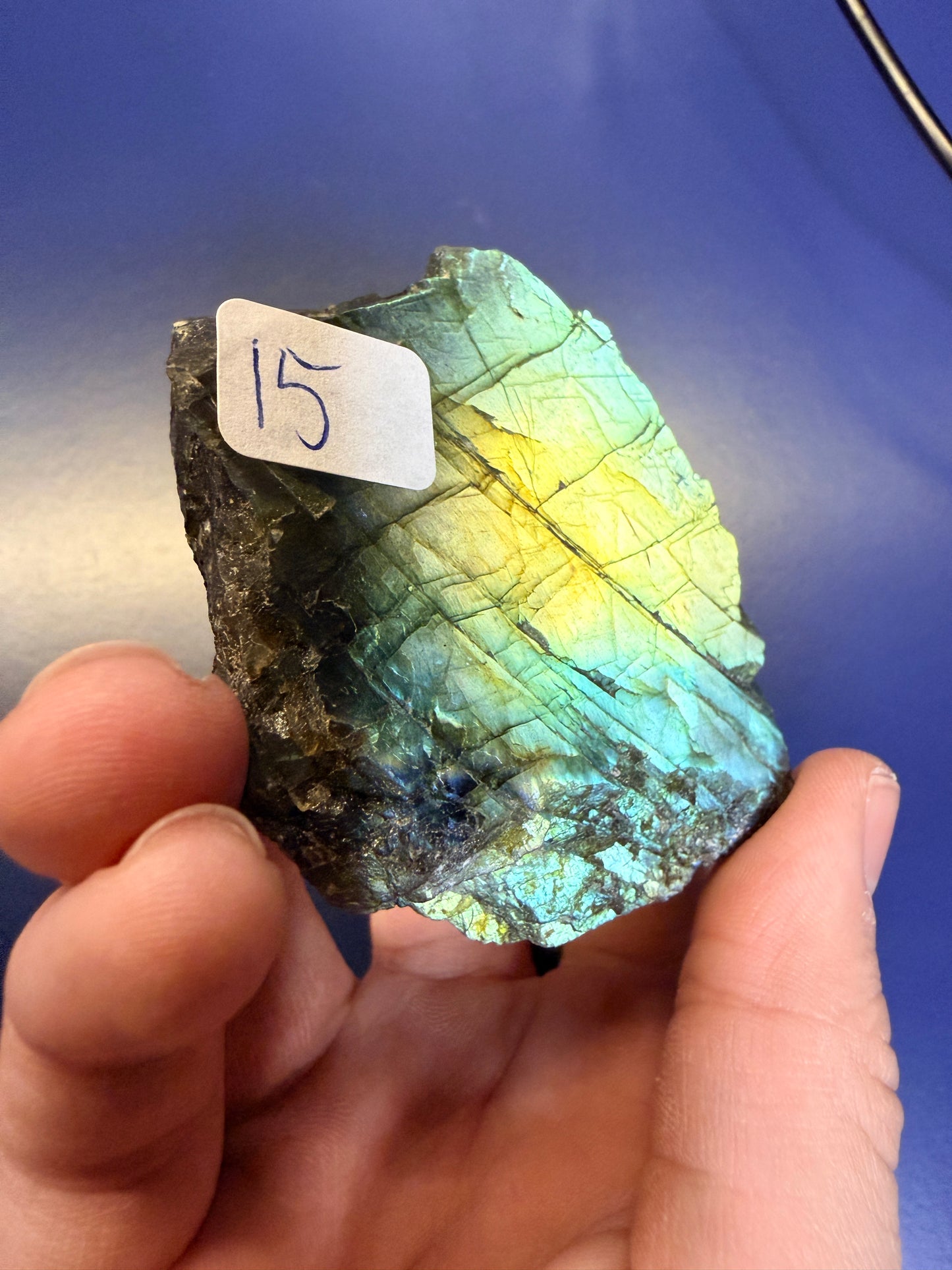 Hand holding a colorful labradorite stone with a label against a blue background