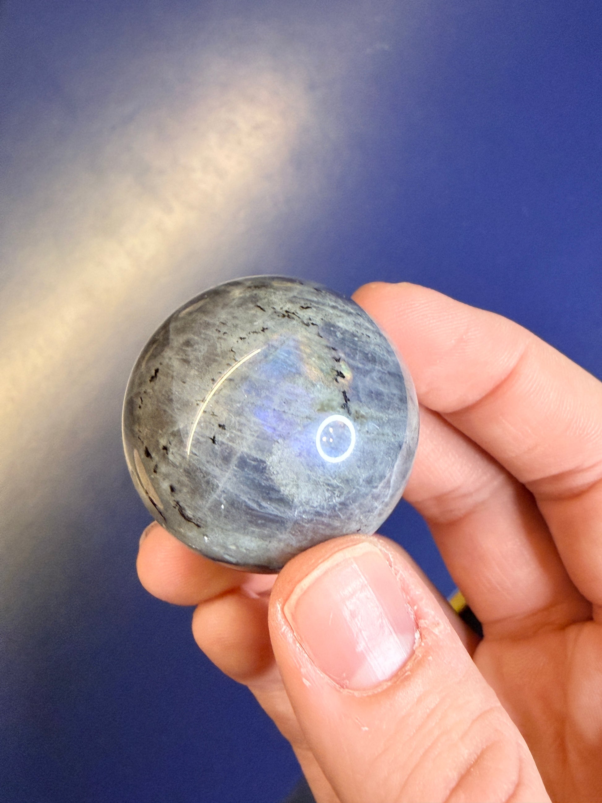 Hand holding a labradorite sphere with gold and purple flash against a blue background