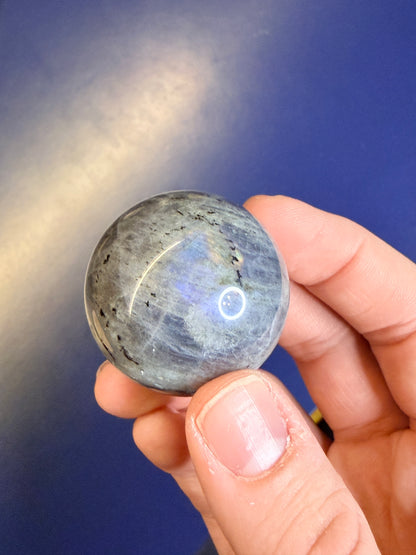 Hand holding a labradorite sphere with gold and purple flash against a blue background