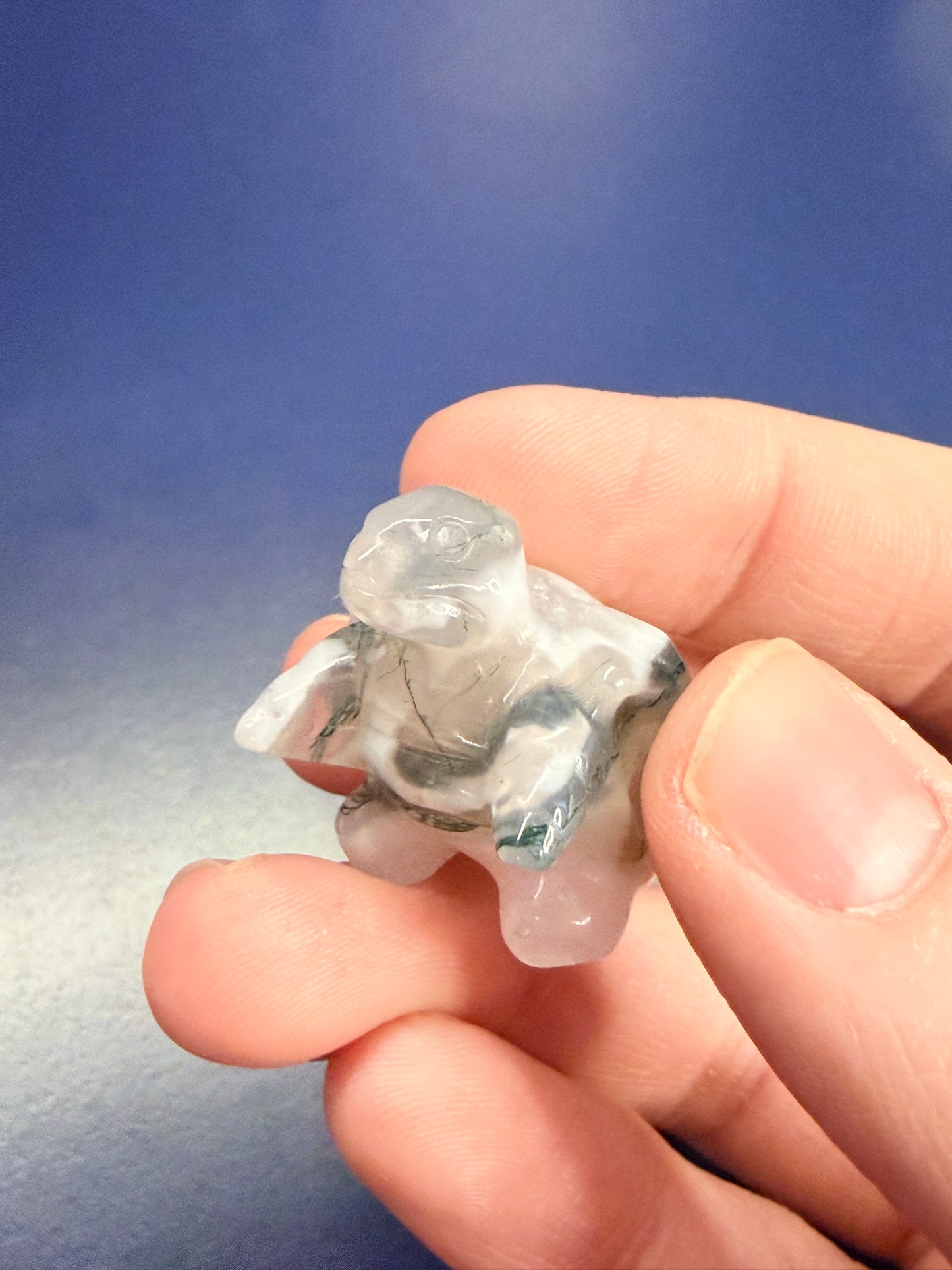 Hand holding a moss agate blastoise crystal against a blue background
