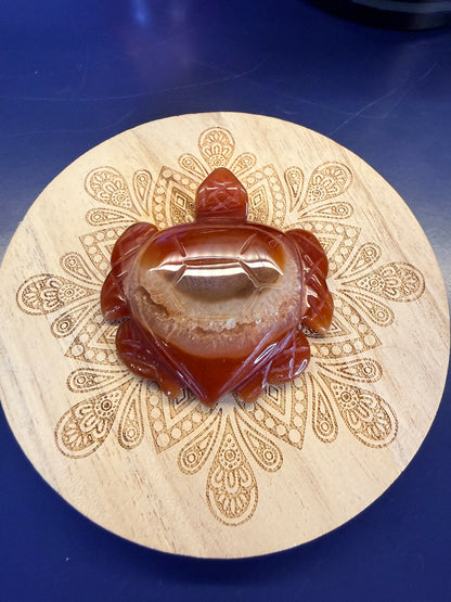 Red carnelian turtle sitting on a decorative wooden coaster on a blue background