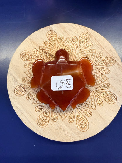 Red carnelian turtle sitting on a decorative wooden coaster on a blue background