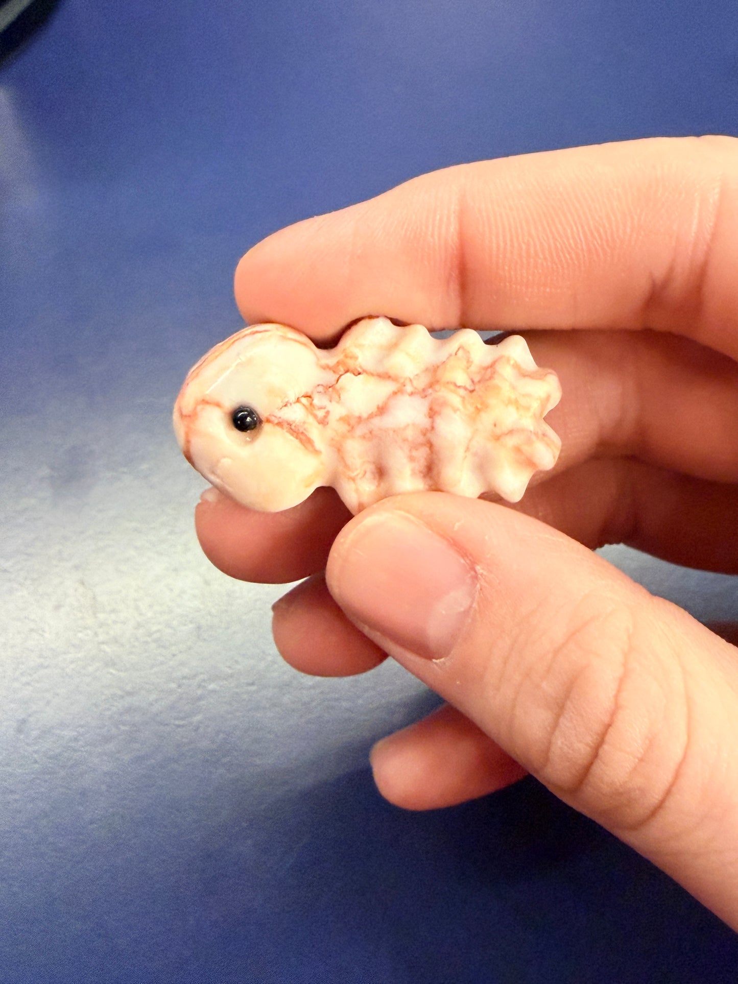 Hand holding a red vein jasper fish bone crystal against a blue background
