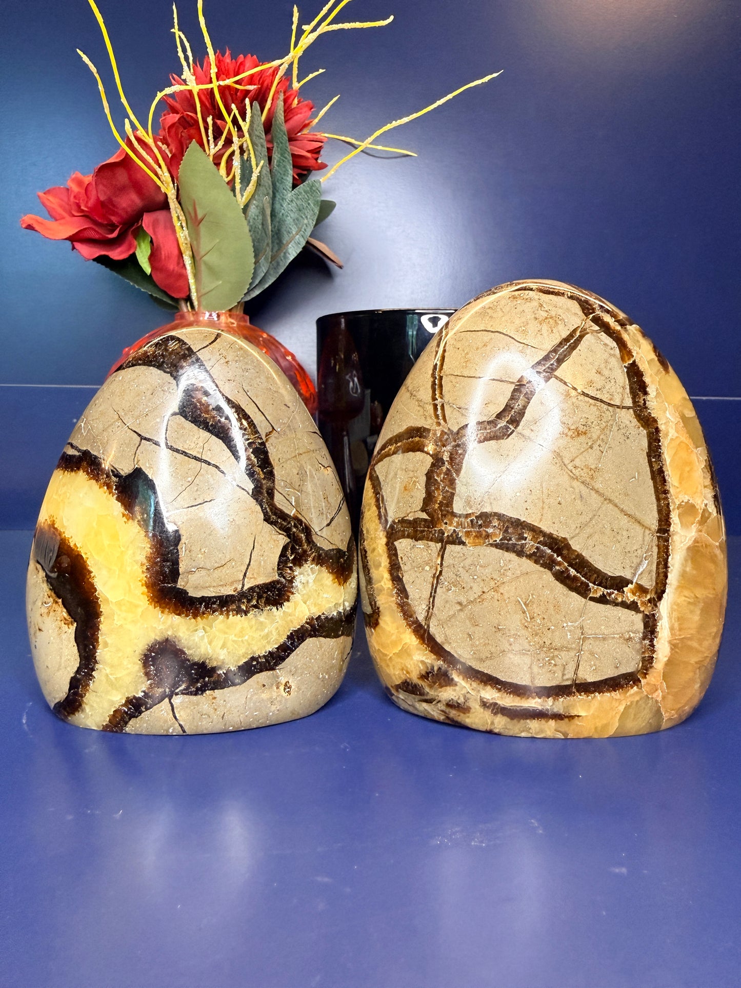 Two snake patterned septarian freeforms in front of a red flower and black jar on a blue background