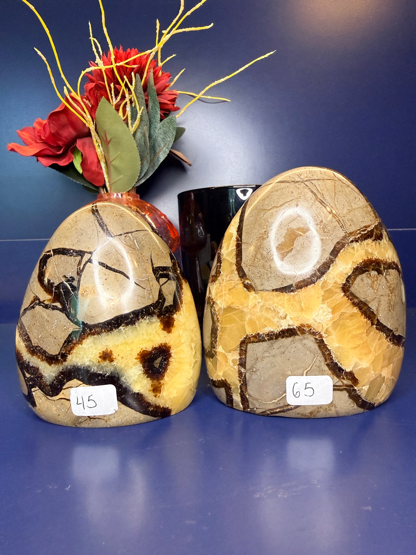 Two snake patterned septarian freeforms in front of a red flower and black jar on a blue background