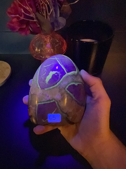 Hand holding a glowing green septarian freeform in front of a red flower in a vase and black jar