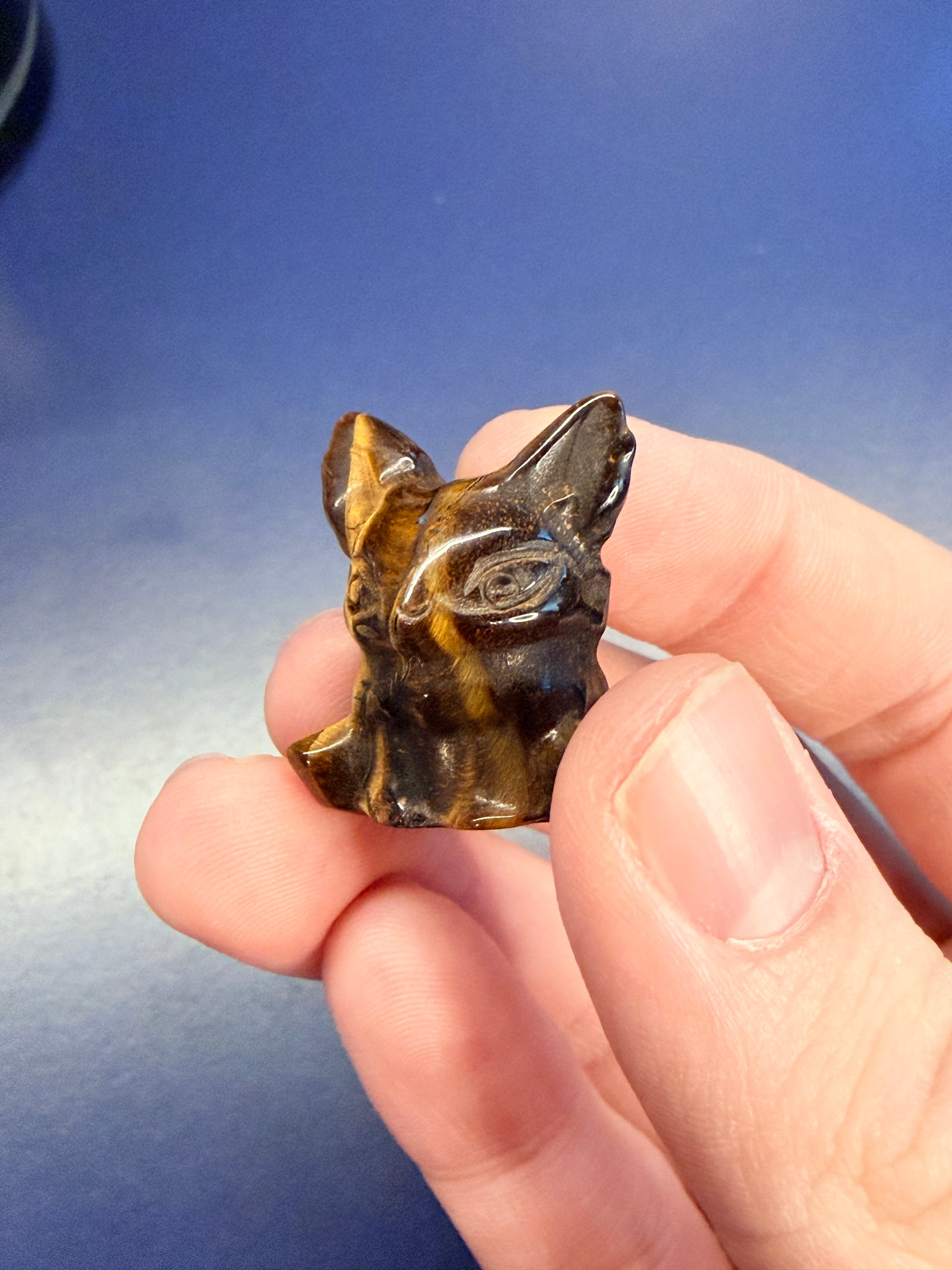 Hand holding a tiger's eye alien crystal against a blue background
