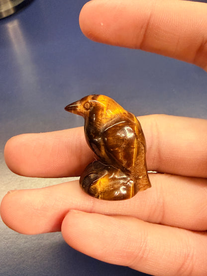 Hand holding a tiger's eye raven crystal against a blue background