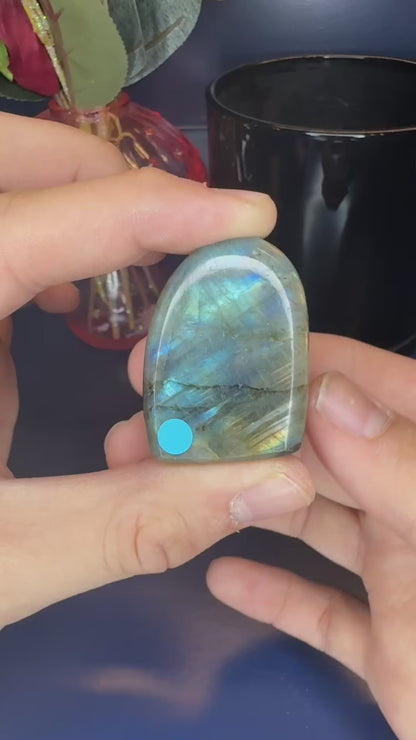 Hands holding multiple labradorite freeforms showing their blue flash in front of a mushroom vase and black jar