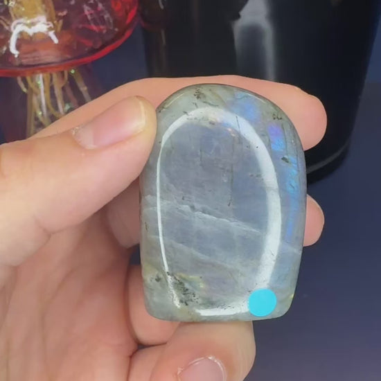Two hands showing grey labradorite free forms and their purple sunset flash