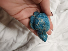 Load image into Gallery viewer, Blue Apatite Turtles
